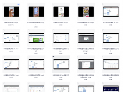 小白跨境电商入门教程包括TIKTOK赚美刀